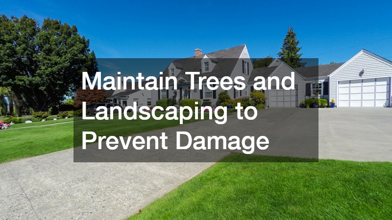 Maintain Trees and Landscaping to Prevent Damage