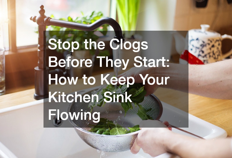 Stop the Clogs Before They Start  How to Keep Your Kitchen Sink Flowing