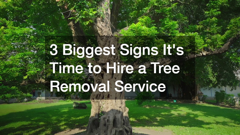 3 Biggest Signs It’s Time to Hire a Tree Removal Service