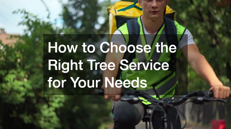 How to Choose the Right Tree Service for Your Needs